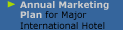 Annual Marketing Plan for Major International Hotel