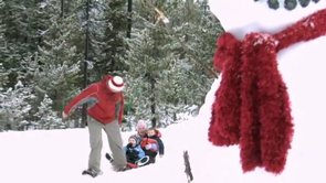 2008 Holiday Video